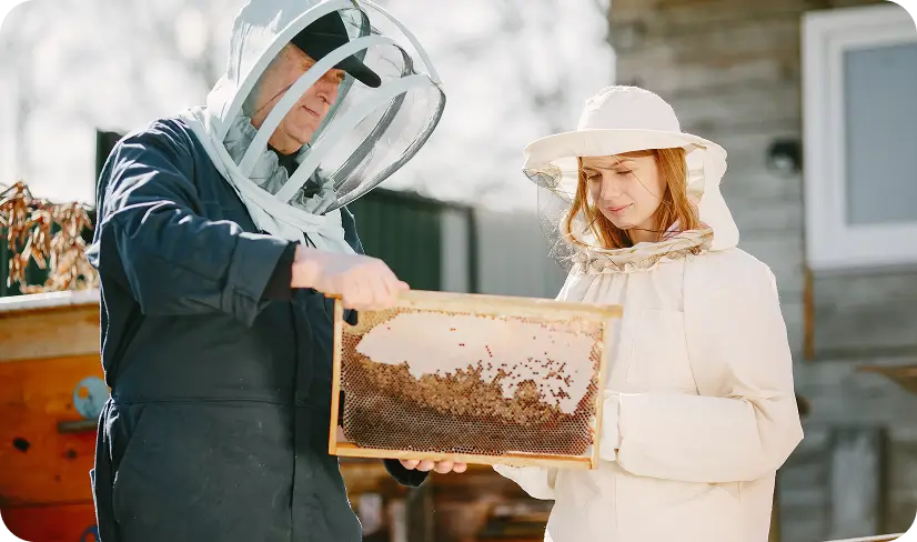 The Complete Guide to Raw Himalayan Honey