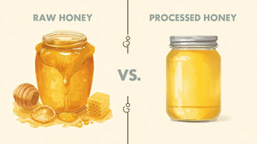 Raw Honey vs Processed Honey