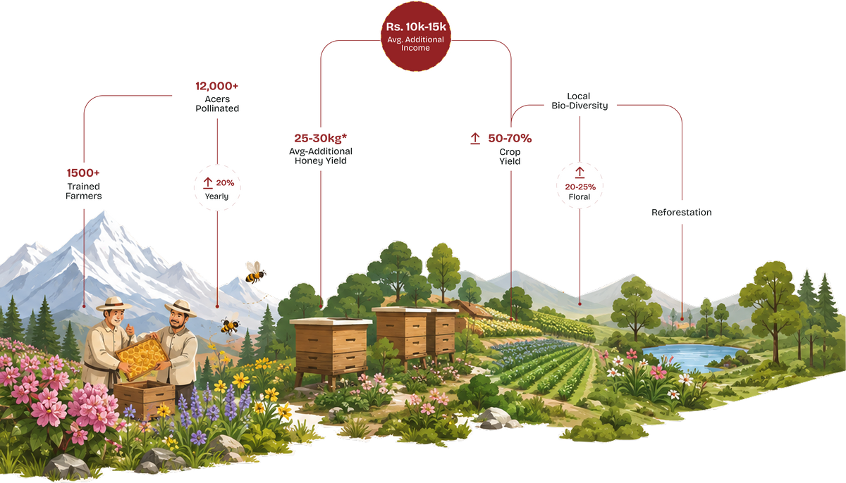 Our Impact Beyond Honey