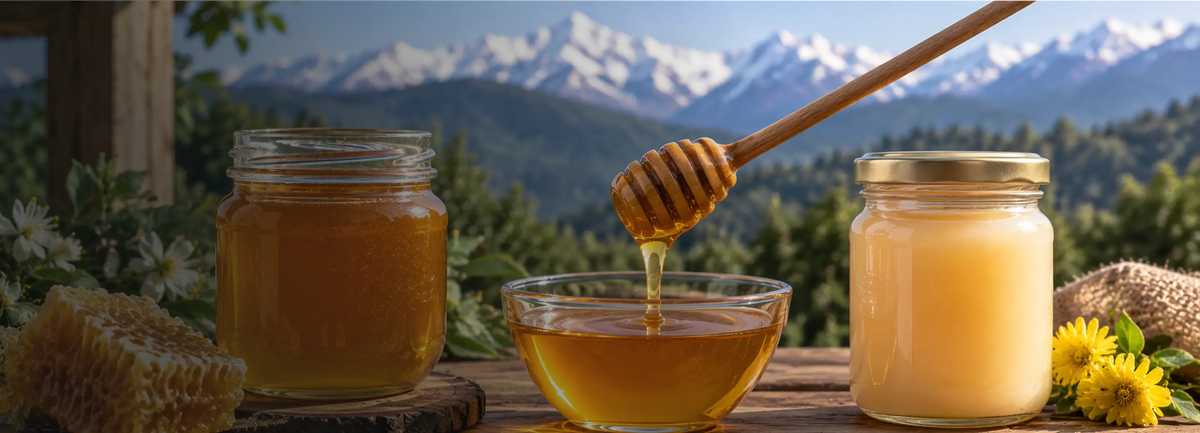 Raw vs Processed vs Pasteurized Honey: What's the Difference?