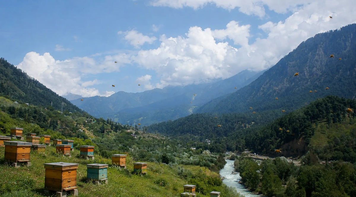 Classic Himalayan: Raw, Certified Himalayan Honey Since 1999