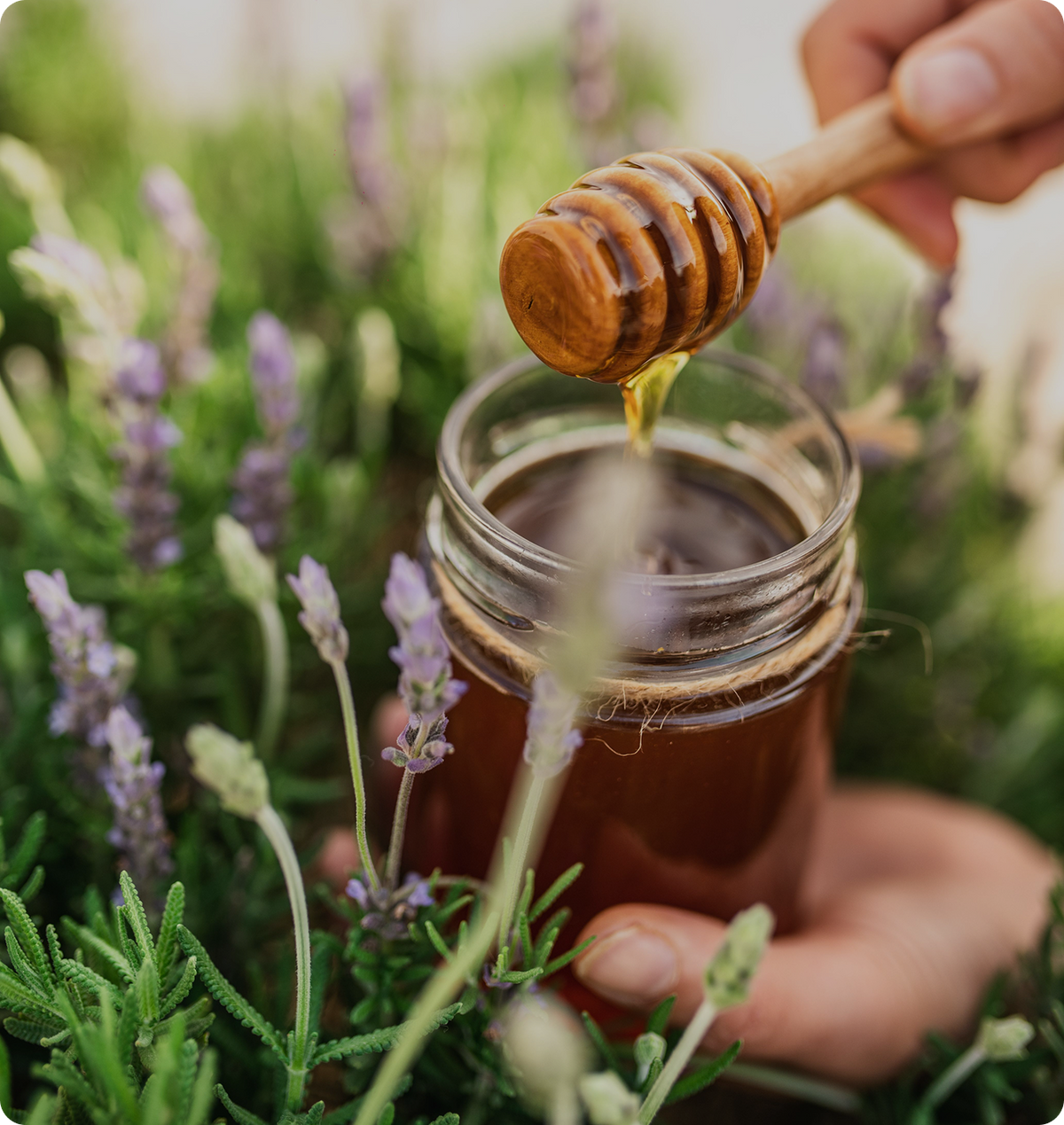 Classic Himalayan honey