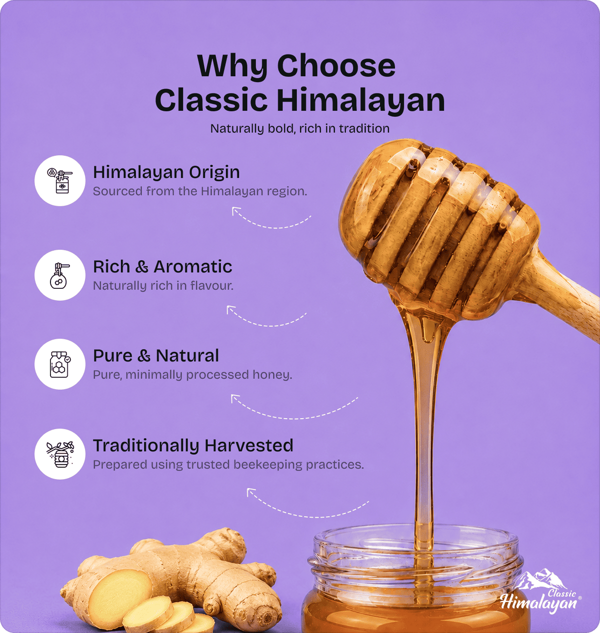 Classic Himalayan Ginger Honey dipper with ginger root, lavender background
