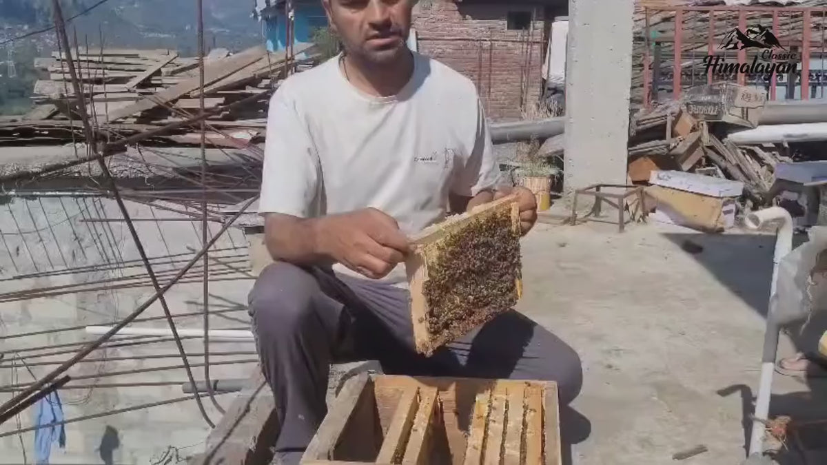 Load video: 