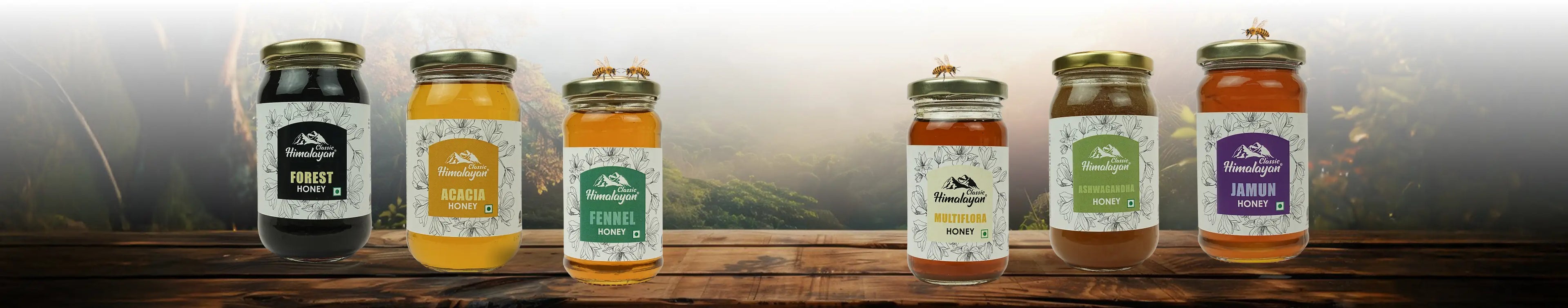 collection-banner-image